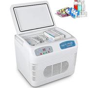 GYJ Insulin Fridge, Medicine Cooler Reefer Container, Interferon Insulin Pen Storage, 2-8 Degrees Medicine Incubator, Car Small Refrigerator HY