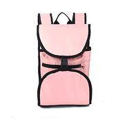 GYKOZY Skateboard Bag Double Storage Thickened Big Fish Land Surfboard Long Board Dance Board Backpack (Pink)