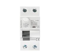 GYL9 AC Type RCCB Residual Current Circuit Breaker AC ELCB 2 Pole 25A 40A 63A 100A RCD 1Pcs(2P 100A,300mA)
