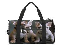 Gym Bag French Bulldog Puppies Gym Bag for Women Men Backpack Gym Bag with Shoe Compartment Reusable Gym Bag Mini Gym Bag, French bulldog puppies, One Size