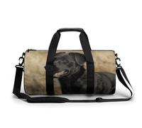 Gym Bag Whales And White Bears Duffel Bag for Men Women Overnight Bag with Shoe Compartment Workout Bags, Black Dog in the Field, 17.7in/9in/9in, Art Deco
