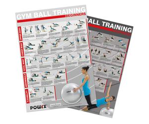 Gym Ball Exercises ( Set of 2 Charts ) Level 1 and 2 , Total Body Workout.