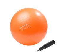 Gym ball HMS YB02 New 55 cm