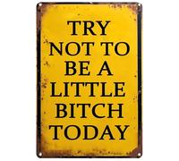 Gym Decor Retro Tin Sign,Try Not to Be a Little Bitch Today Antique Metal Signs for Garden Home Farm Bars Cafes Indoor Outdoor Decor 8x12 inch Inch