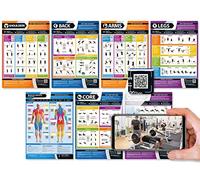 Gym Posters - Muscle Building Exercise Workouts - Set of 7 Fitness Posters - Laminated - 594mm x 420mm (A2) - Shoulders, Back, Chest, Arms, Legs, Core