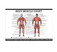 Gym Posters Set - Dumbbell Workout Charts (16"x24") - Home Gym Decor, Exercise Guide for Men & Women (1)