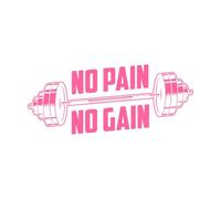 Gym Quote no Pain no gain Design Wall Vinyl Sticker Decor 48x113.8cm Store Decoration Pink