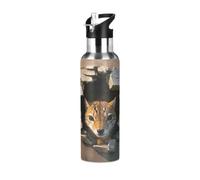 Gym Water Bottle Animals Broken Stone Walls Double-Wall Insulation