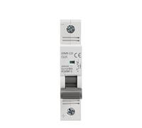 GYM9-125 DC MCB Single Phase Mini Circuit Breaker 80A 100A 125A 1P Breaker Width 17.8mm 250VDC 6KA 1Pcs Air switches (Color : 100A, Size : 1 Pole 250VDC)