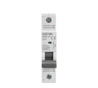 GYM9-125 Din Rail DC MCB 6KA 1P 250VDC 80A 100A 125A DC Circuit Breaker(100A)