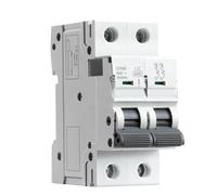 GYM9 2P 6KA Breaking Capacity Din Rail Circuit Breaker 6A-63A AC Type Factory Direct Manufacturer(63A)