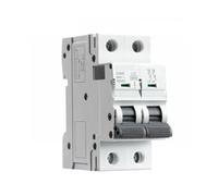GYM9 2P 6KA Breaking Capacity MCB Din Rail Mini Circuit Breaker 6A-63A AC Type Factory Direct Manufacturer(63A)