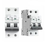GYM9 2Pole Din Rail Mini Circuit Breaker 230V 6A-63A AC Type(10A)