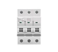 GYM9H 10KA 3P 4P 6A 10A 16A 20A 25A 32A 40A 50A 63A Circuit Breaker 230V 400V C Curve(3 Pole C Curve,60A)