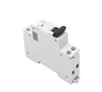 GYM9N 1P+N MCB 6A 10A 16A 20A 25A 32A 40A 220V AC Circuit Breaker 6KA C Curve B Curve(C Curve,25A)