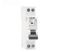 GYM9N DPN MCB 1P+N 6A 10A 16A 20A 25A 32A 40A 220V AC Circuit Breaker 6KA C Curve B Curve(10A,B Curve)