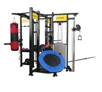 GymGear Spartan Studio Rig / Functional Training Rig
