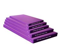 Gymnastics Crash Mat, Safety Exercise Mat Pad, Critical Fall Height Tested to 3 Metres BS:EN1177 [Purple, Medium]
