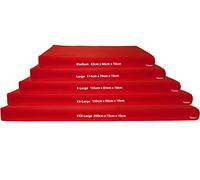 Gymnastics Crash Mat, Safety Exercise Mat Pad, Critical Fall Height Tested to 3 Metres BS:EN1177 [Red, Large]