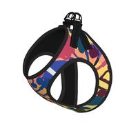 Gymnastics Game Print Step in Dog Harness and Leash Set,Mesh Pet Vest Harness for Small Dogs and Cats