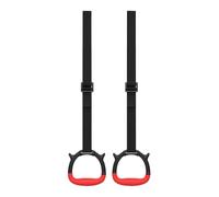 Gymnastics, Rings Swing Rings for Kids, Calisthenics Equipment for Fitness, Strength Training, Rehabilitation, Physical Education, Preschool Activities, and Play at Home or Gym