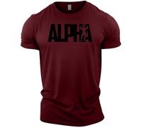 GYMTIER Alpha - Men's Gym T-Shirt - Bodybuilding Workout Top, Maroon, M