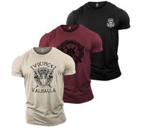 GYMTIER Men's Gym T-Shirt - 3 T-Shirt Bundle - Bodybuilding Training Top, Viking 1, XL