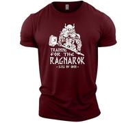 GYMTIER Sons of Odin - Training for Ragnarok Vikings - Men's Gym T-Shirt Bodybuilding Training Workout Lifting Top Clothing, Maroon, L