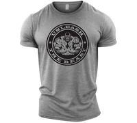 GYMTIER Unleash The Beast Men's Gym T-Shirt Bodybuilding Training Workout Lifting Top Clothing, Sport Grey, M