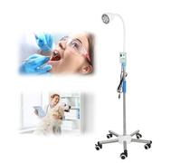 Gynecology Examination Light, 360° Rotation Floor Stand Type Lamp Mobile Medical Exam Light Lamp, LED Dental Medical Exam Lamp, for Gynaecology Outpatient