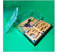Gypsum Ant Nest Acrylic Ant Farm Natural Ecological Ant House Pet Ant Hill Workshop
