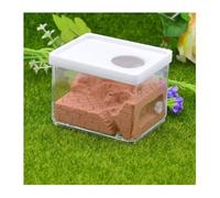 Gypsum Square Nest Ant Farm - Pet Anthill Insect Box Workshop, Science Education Habitat for Ant Colony Observation Ant Habitat(Rot)