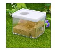 Gypsum Square Nest Ant Farm - Pet Anthill Insect Box Workshop, Science Education Habitat for Ant Colony Observation Ant Habitat(Gelb)