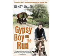 Gypsy Boy on the Run by Mikey Walsh (24-Nov-2011) Paperback