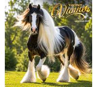 Gypsy Vanner Horses Calendar 2027