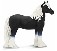 Gypsy Vanner Stallion