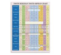GYQYJPFZM Acupuncture Meridian Tooth Chart Vintage Anatomy Educational Poster for Office and Clinic Wall-Art(Unframed,16x24inch(40x60cm))