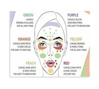 GYQYJPFZM Beauty Salon Educational Poster Skincare Information and Facial Guide Canvas Wall-Art Spa Decor Gift for Esthetician(Framed,08x12inch(20x30cm))