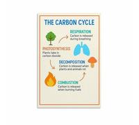 GYQYJPFZM Carbon Cycle Diagram Wall Poster Science Education Print for Classroom Homeschool Office Decor Climate Change Ecology Biology Learning Resource(Framed,08x12inch(20x30cm))