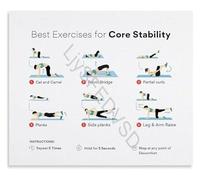 GYQYJPFZM Cat Camel and Pelvic Bridge Exercises Poster Core Stability Workout Guide for a Strong Healthy Back Wall Decor(Framed,08x12inch(20x30cm))
