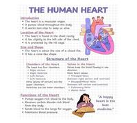 GYQYJPFZM The Human Heart Poster, Vintage Anatomy Chart, Decorative Gift for Valentine’s Day, Doctors Day, or Anatomy Enthusiasts(Framed,08x12inch(20x30cm))