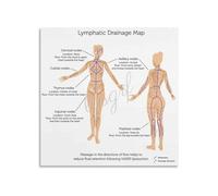 GYQYJPFZM The Lymphatic System Poster A Visual Guide to Lymph Nodes and Vessels Modern Canvas Painting for School Office(Framed,16x24inch(40x60cm))