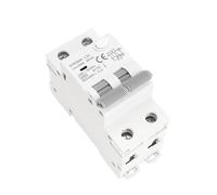 GYR9NM 230V 2P 4P Residual Current Circuit Breaker with Short and Excessive Current Leakage Protection RCBO MCB Din Rail 40A 1pcs(100mA,2P 32A)