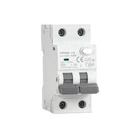 GYR9NM Type A RCBO 2P 4P Magnetic Residual Current Circuit Breaker With Over Current Protection 10A 16A 25A 32A 40A 30mA(2P 10A 30mA)