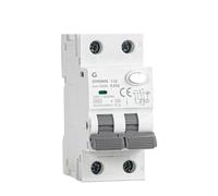 GYR9NM Type A RCBO 2P 4P Magnetic Residual Current Circuit Breaker with Over Current Protection 10A 16A 25A 32A 40A 30mA(2P 40A 30mA)
