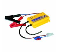 Gys Built-in Battery Charger with Charge Maintenance INVERTER 5 HF 029170