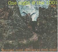 Gysin, Brion - One Night at the 1001