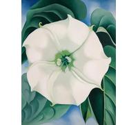 GYTRI CGFHJ Georgia O'Keeffe Flower Poster Color Prints Abstract Wall Art Picture《Morning Glory》Georgia O'Keeffe Canvas Painting For Home Decor 40x60cm Unframed