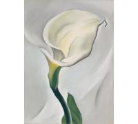 GYTRI CGFHJ Georgia O'Keeffe Flower Poster Color Prints Abstract Wall Art Picture《White Lily》Georgia O'Keeffe Canvas Painting For Home Decor 40x60cm Unframed