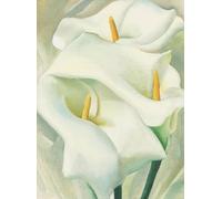 GYTRI CGFHJ Georgia O'Keeffe Flower Poster Color Prints Abstract Wall Art Picture《White Lily》Georgia O'Keeffe Canvas Painting For Home Decor 40x60cm Unframed